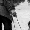 Foto dall'Ucraina di Roberto Travan - 